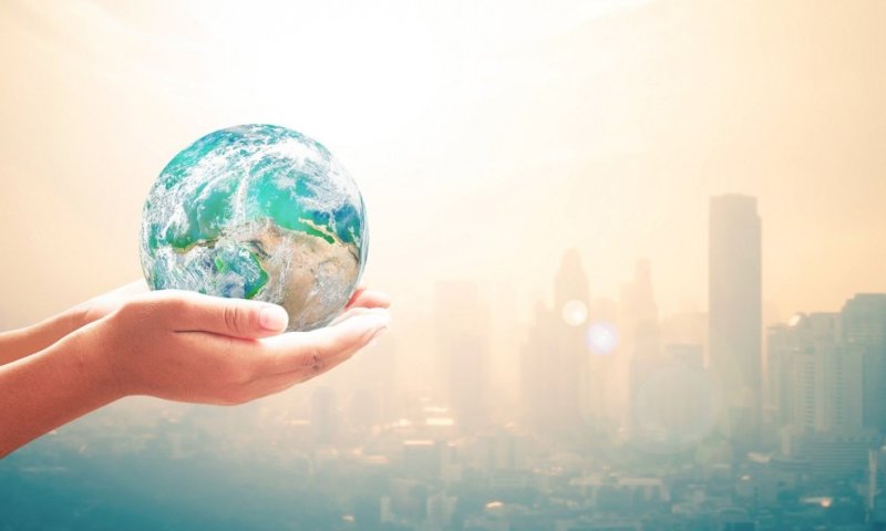 אחריות חברתית-תאגידית בעולם - מיכל תמם