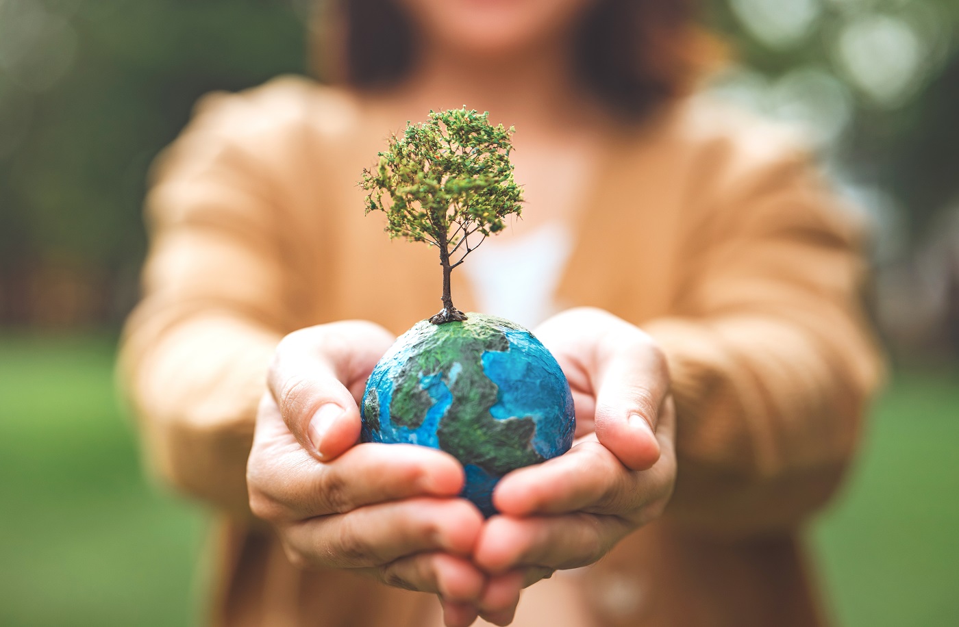 אחריות תאגידית בעולם - ובישראל - מיכל תמם