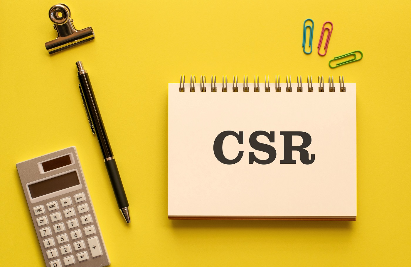 למי מתאים יישום אחריות חברתית בארגון - מיכל תמם