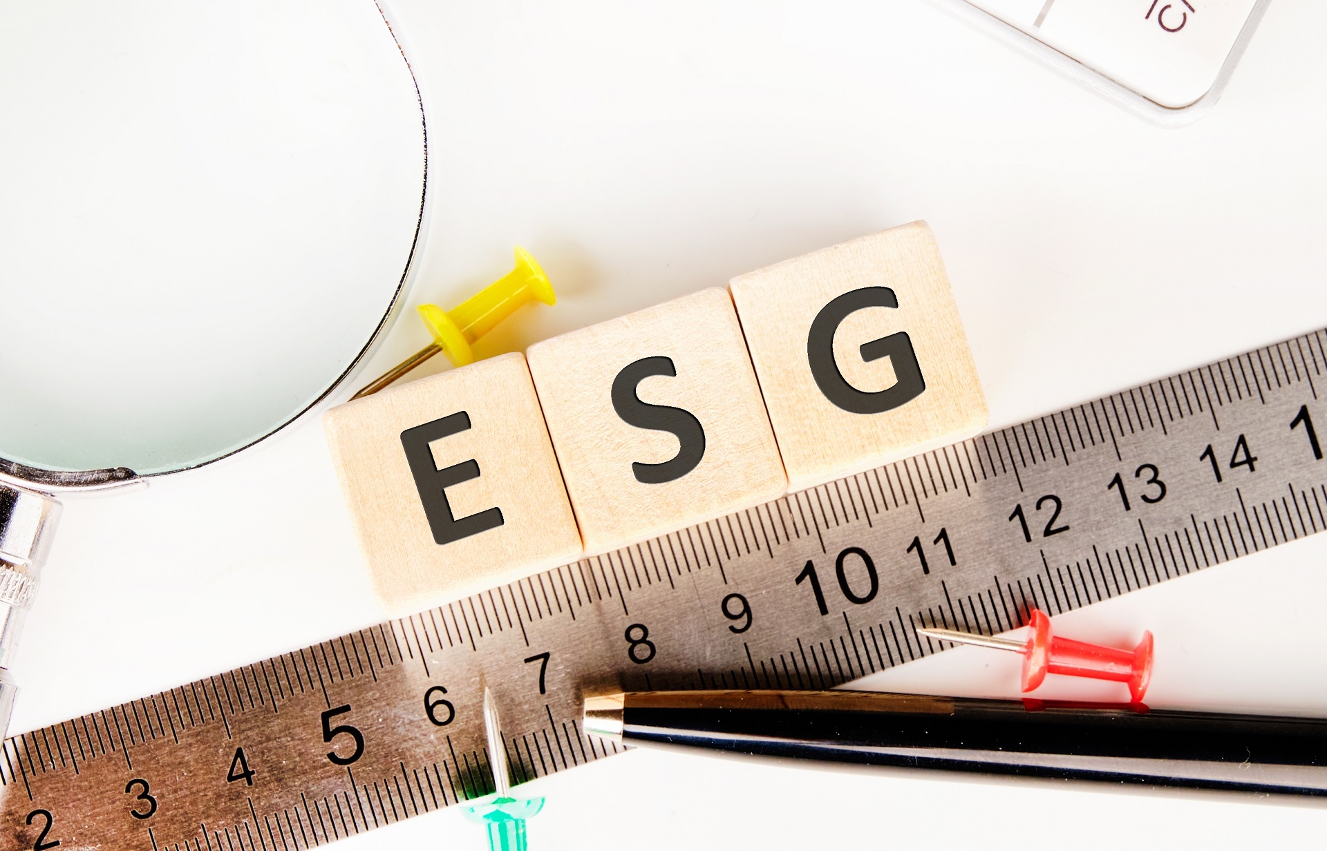 מדידת אחריות תאגידית חברתית בארגונים ESG - מיכל תמם